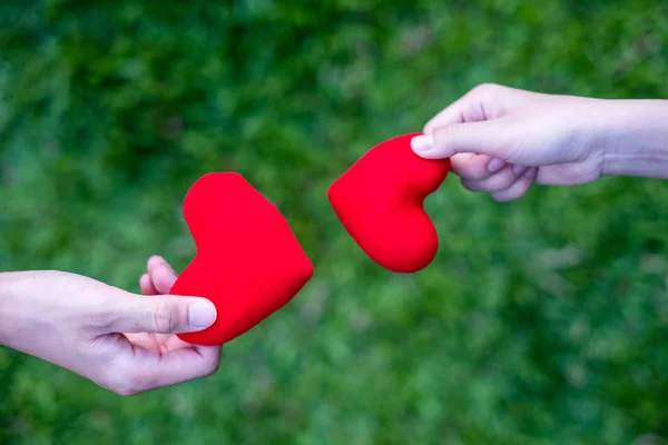 Hand women send red heart and hand men send red heart for Exchange hearts, Double heart, grass Background.