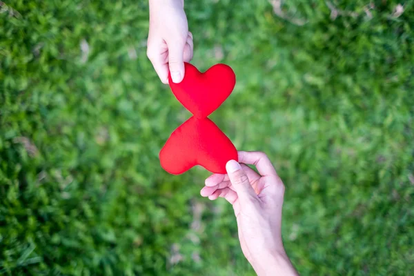 Hand women send red heart and hand men send red heart for Exchange hearts, Double heart, grass Background.