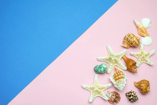 Conchas y estrellas de mar sobre fondo azul y rosa. Copiar espacio fo — Foto de Stock