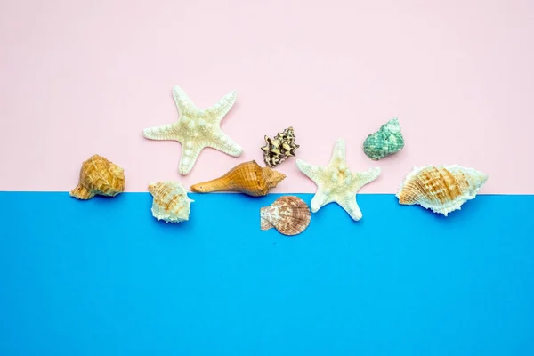 Conchas e estrelas-do-mar sobre fundo azul e rosa. Espaço de cópia fo — Fotografia de Stock