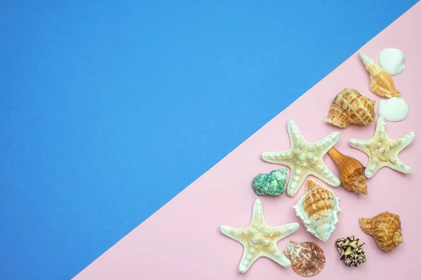 Conchas y estrellas de mar sobre fondo azul y rosa. Copiar espacio fo — Foto de Stock