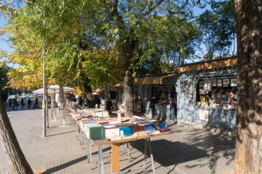 Madrid, İspanya - 12 Kasım 2017 : Retiro Par'da satılık kitaplar