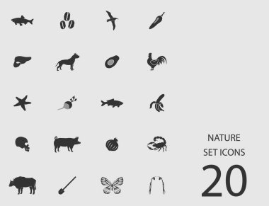 Doğa düz simgeler kümesi. Basit vektör çizim