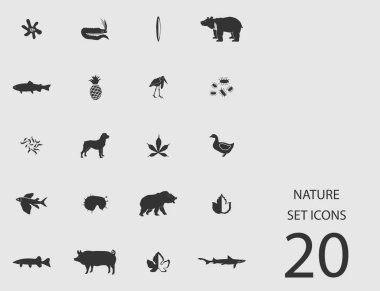 Doğa düz simgeler kümesi. Basit vektör çizim