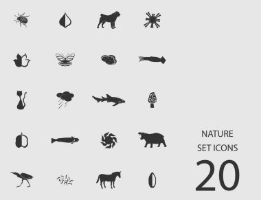 Doğa düz simgeler kümesi. Basit vektör çizim