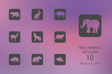 Vahşi hayvanlar. Düz arka plan bulanık simgeler kümesi. Vektör çizim
