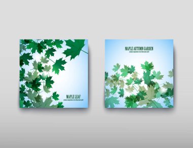 Resimde sonbahar natürmort. Akçaağaç yaprakları. Vektör arka plan