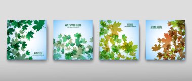 Resimde sonbahar natürmort. Akçaağaç yaprakları. Vektör arka plan