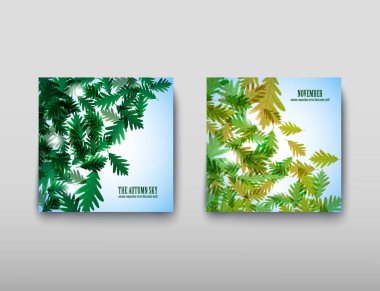 Resimde sonbahar natürmort. Meşe yaprağı. Vektör arka plan