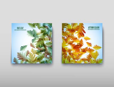 Resimde sonbahar natürmort. Meşe yaprağı. Vektör arka plan