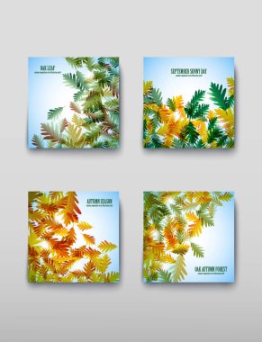 Resimde sonbahar natürmort. Meşe yaprağı. Vektör arka plan