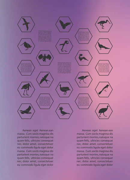 Αφίσα Infographics Πουλιά Ένα Θολό Φόντο Ένα Αφηρημένο Ύφος Εικονογράφηση — Διανυσματικό Αρχείο