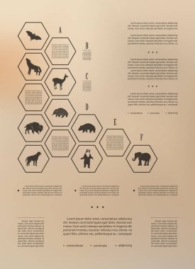 Soyut bir tarzda bulanık bir arka plan üzerinde poster infographics vahşi hayvanlar. Grafik düzeni ile vektör çizim