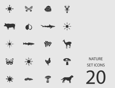 Doğa düz simgeler kümesi. Basit vektör çizim