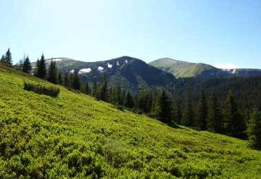 Karpat Dağları, Karpat Dağları, Ukrayna