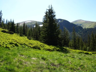 Karpat Dağları, Karpat Dağları, Ukrayna