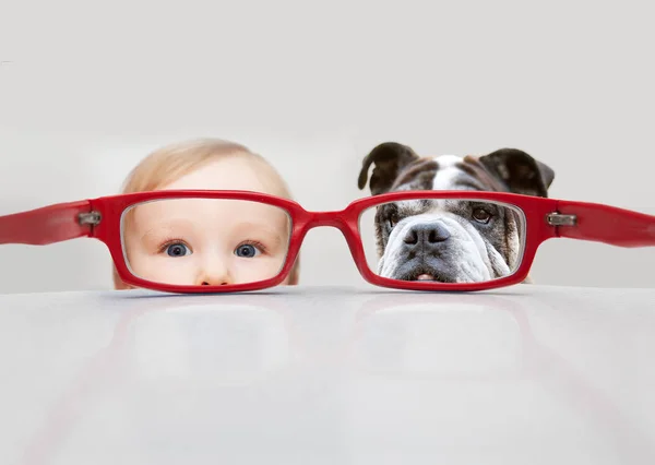 Malé Rozesmáté Dítě Psa Červené Brýle Stock Obrázky
