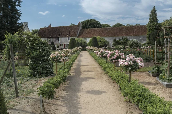Fransa Th Chenonceau kalenin ünlü sebze bahçesi