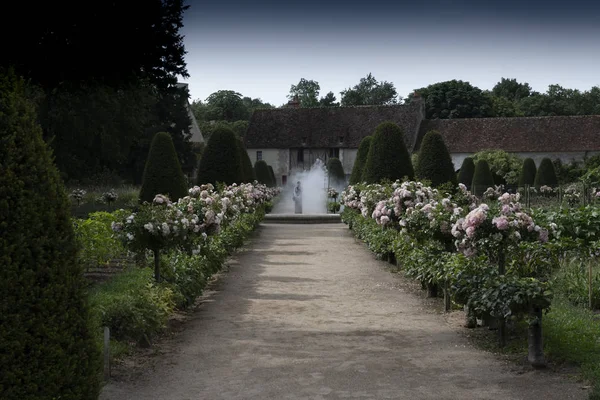 Fransa Th Chenonceau kalenin ünlü sebze bahçesi