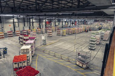 Aalsmeer Çiçek Müzayedesi dünyadaki en büyük çiçek müzayedesidir.