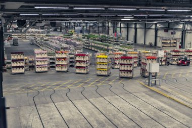 Aalsmeer Çiçek Müzayedesi dünyadaki en büyük çiçek müzayedesidir.
