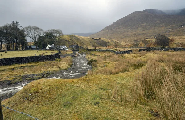 İrlanda manzarası, batı kıyısı Galway. 