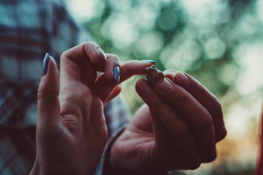 makro çekim bir çift elinde bir kurbağa