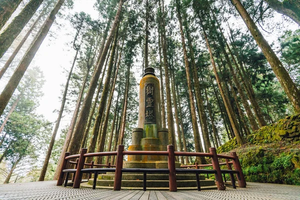 Pagoda Tree Spirit Alishan National Forest Recreation Area Winter Chiayi — Stock Photo, Image