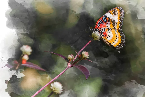 Aquarelle Papillon Tigre Commun Sur Les Fleurs Kuang Falls Butterfly — Photo