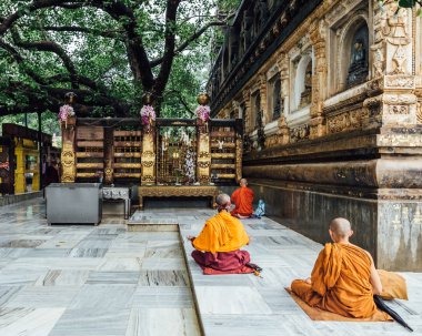 Bodh Gaya, Bihar, Hindistan'da yağmur yağarken Mahabodhi Tapınağı yakınlarındaki Bodhi Ağacı yakınlarında meditasyon da Hint Budist keşiş.