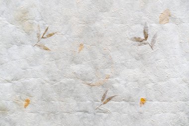 Buruşmuş Japon kağıt (Washi) üst görünümü. Yerel lif kullanan kağıt, elle işlenir ve geleneksel şekilde yapılır. Yaprakları ve yaprakları ile dekore edilmiştir. Kağıt arka plan, Kağıt dokusu.