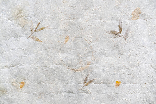 Вид сверху на измельченную японскую бумагу (Ваши). Бумага, использующая местное волокно, обработанная вручную и выполненная традиционным способом. Украшенный листьями и лепестками. Бумажный фон, текстура бумаги
.