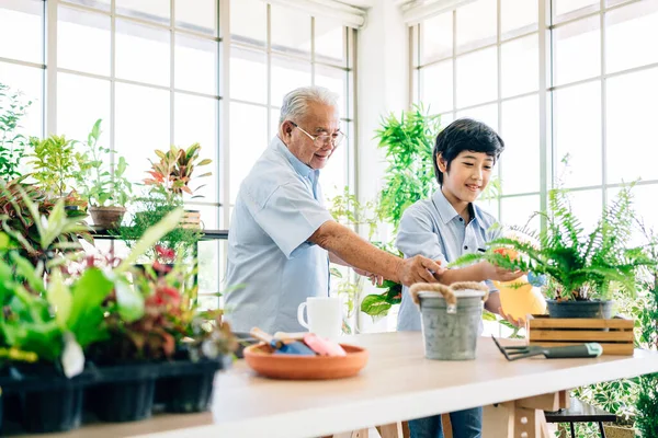 Asiatischer Rentner Opa Und Sein Enkel Verbringen Viel Zeit Miteinander — Stockfoto