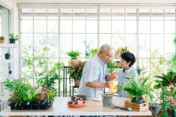 Asiatischer Rentner Opa Und Sein Enkel Verbringen Viel Zeit Miteinander — Stockfoto