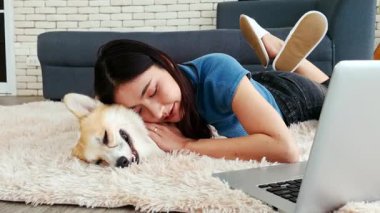 Genç bir kadın, rahat bir oturma odasındaki dizüstü bilgisayarın yanında tüylü bir kilim üzerinde mantar yavrusuna sarılıyor. İçerideki sıcak sahne rahatlama, evcil hayvan sevgisi ve evdeki bir kadın ile köpeği arasındaki bağı gösteriyor. 4k video