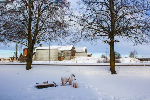 Utsikt Över Lettisk Natur Och Liten Stad Vinter — Stockfoto