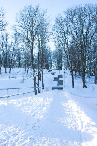 Utsikt Över Lettisk Natur Och Liten Stad Vinter — Stockfoto