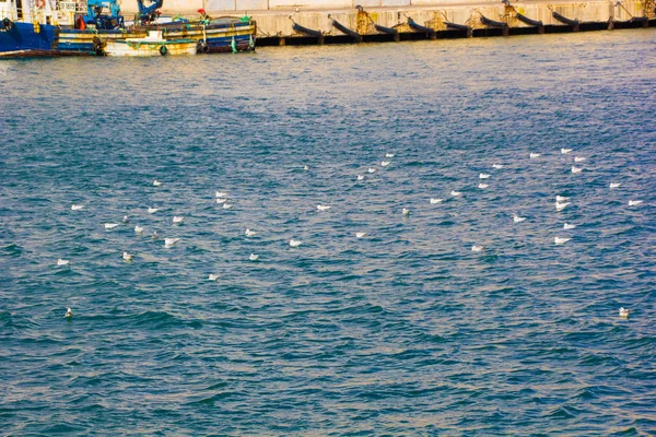 瓦莱塔 马耳他 大海和美丽的自然景观全景 — 图库照片