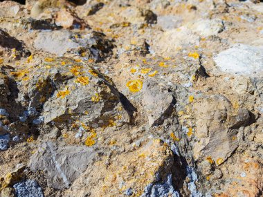 Güzel arka planlar, patural arka plan, photoshop ile çalışmak için arka plan arka plan doku