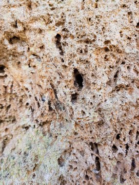 Güzel arka planlar, patural arka plan, photoshop ile çalışmak için arka plan arka plan doku