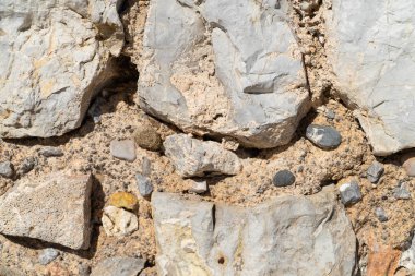 Güzel arka planlar, patural arka plan, photoshop ile çalışmak için arka plan arka plan doku