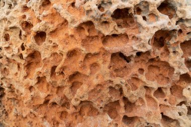 Güzel arka planlar, patural arka plan, photoshop ile çalışmak için arka plan arka plan doku