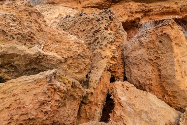 Güzel arka planlar, patural arka plan, photoshop ile çalışmak için arka plan arka plan doku