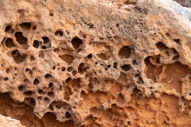 Güzel arka planlar, patural arka plan, photoshop ile çalışmak için arka plan arka plan doku