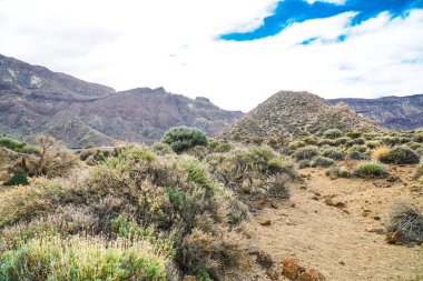Teide Milli Parkı Tenerife, İspanya