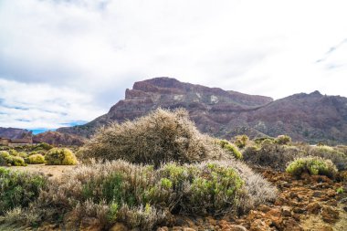 Teide Milli Parkı Tenerife, İspanya