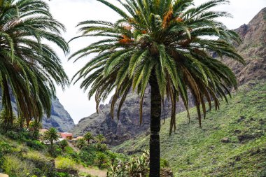 Tenerife, Kanarya adası / Tenerife dönüm noktası manzara geçit ve köy 