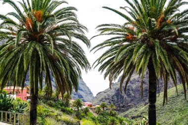 Tenerife, Kanarya adası / Tenerife dönüm noktası manzara geçit ve köy 