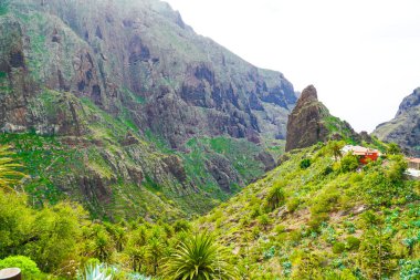 Tenerife, Kanarya adası / Tenerife dönüm noktası manzara geçit ve köy 