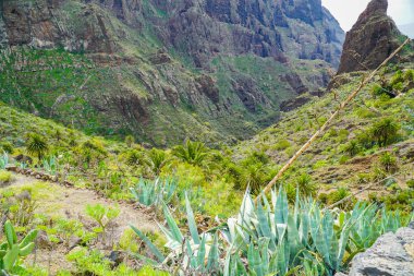 Tenerife, Kanarya adası / Tenerife dönüm noktası manzara geçit ve köy 